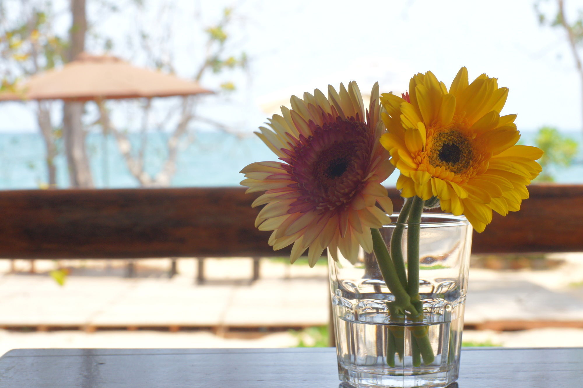 Gold Sand Beach Bungalow Phu Quoc Buitenkant foto